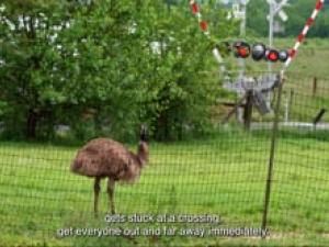 The Long Game RV PSA (BROADCAST QUALITY) :30 - ENGLISH CAPTIONS