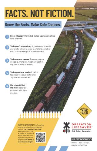 Thumbnail of the Safety Facts poster